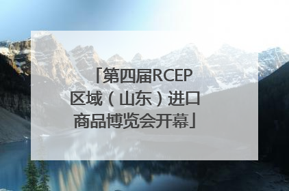 第四届RCEP区域（山东）进口商品博览会开幕