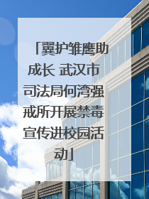 翼护雏鹰助成长 武汉市司法局何湾强戒所开展禁毒宣传进校园活动