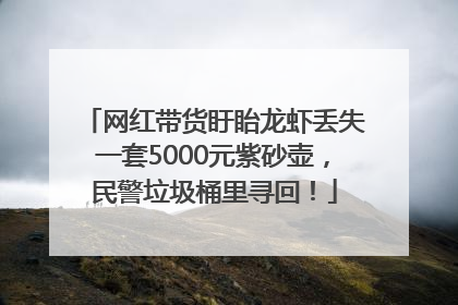 网红带货盱眙龙虾丢失一套5000元紫砂壶，民警垃圾桶里寻回！