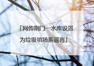 网传荆门一水库设置为垃圾填场系谣言