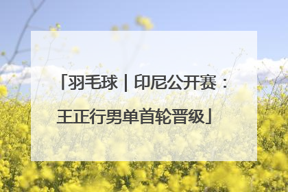 羽毛球｜印尼公开赛：王正行男单首轮晋级