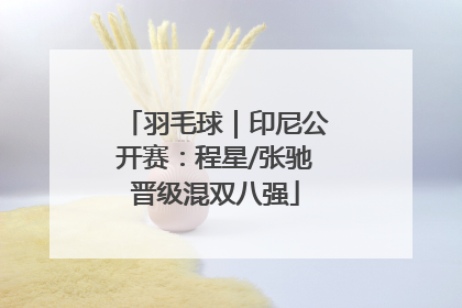 羽毛球｜印尼公开赛：程星/张驰晋级混双八强