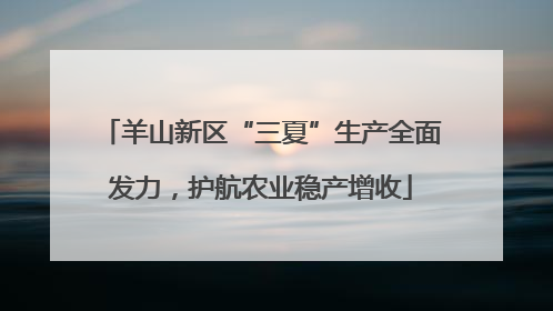 羊山新区“三夏”生产全面发力，护航农业稳产增收