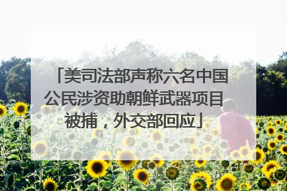 美司法部声称六名中国公民涉资助朝鲜武器项目被捕，外交部回应