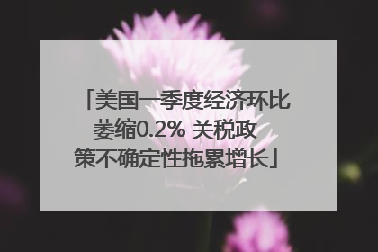 美国一季度经济环比萎缩0.2% 关税政策不确定性拖累增长