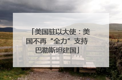 美国驻以大使：美国不再“全力”支持巴勒斯坦建国