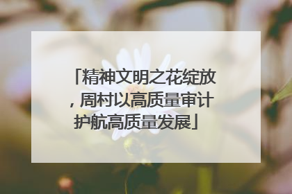 精神文明之花绽放，周村以高质量审计护航高质量发展