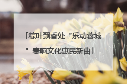 粽叶飘香处“乐动蓉城”奏响文化惠民新曲