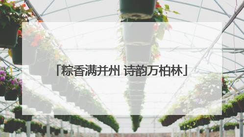 粽香满并州 诗韵万柏林