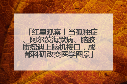 红星观察丨当孤独症、阿尔茨海默病、脑胶质瘤遇上脑机接口，成都科研改变医学图景