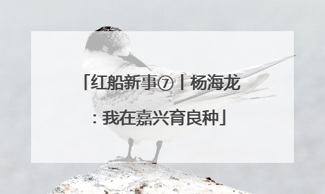 红船新事⑦丨杨海龙：我在嘉兴育良种