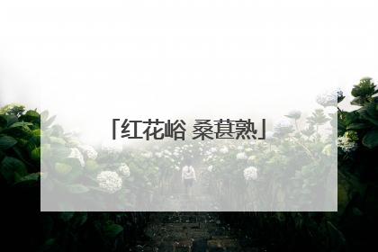 红花峪 桑葚熟