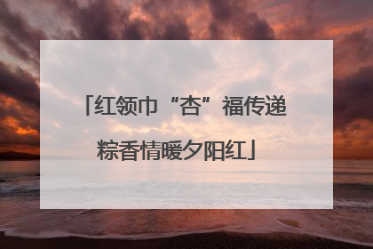红领巾“杏”福传递 粽香情暖夕阳红