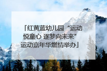 红黄蓝幼儿园“运动悦童心 逐梦向未来”运动嘉年华燃情举办