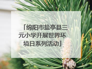 绵阳市盐亭县三元小学开展世界环境日系列活动