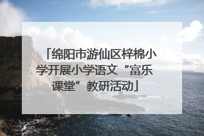 绵阳市游仙区梓棉小学开展小学语文“富乐课堂”教研活动
