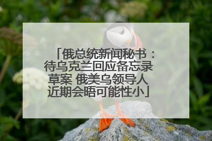 俄总统新闻秘书：待乌克兰回应备忘录草案 俄美乌领导人近期会晤可能性小
