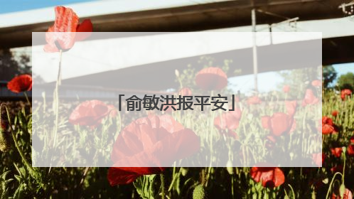 俞敏洪报平安