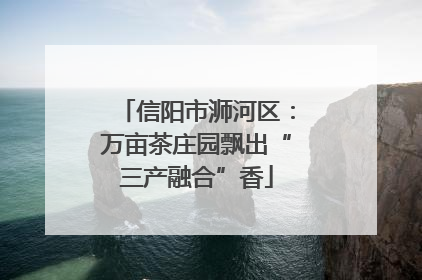 信阳市浉河区：万亩茶庄园飘出“三产融合”香