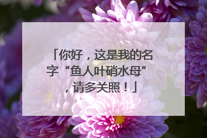 你好，这是我的名字“鱼人叶硝水母”，请多关照！