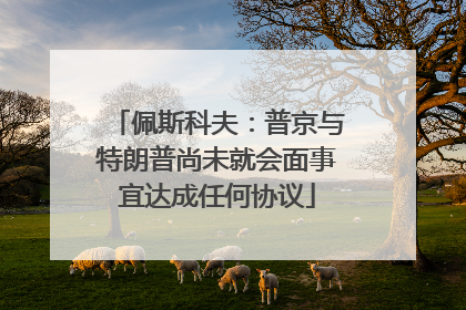 佩斯科夫：普京与特朗普尚未就会面事宜达成任何协议