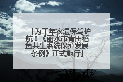 为千年农遗保驾护航！《丽水市青田稻鱼共生系统保护发展条例》正式施行