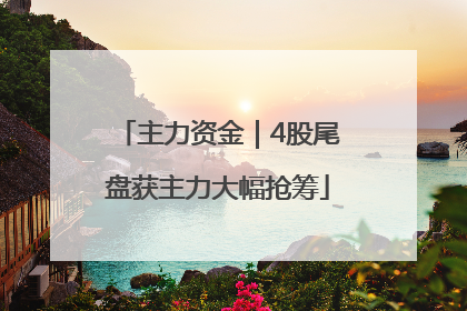 主力资金｜4股尾盘获主力大幅抢筹