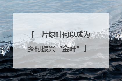 一片绿叶何以成为乡村振兴“金叶”