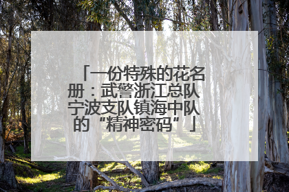 一份特殊的花名册：武警浙江总队宁波支队镇海中队的“精神密码”