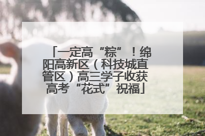 一定高“粽”！绵阳高新区（科技城直管区）高三学子收获高考“花式”祝福