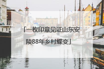 一枚印章见证山东安陵88年乡村蝶变