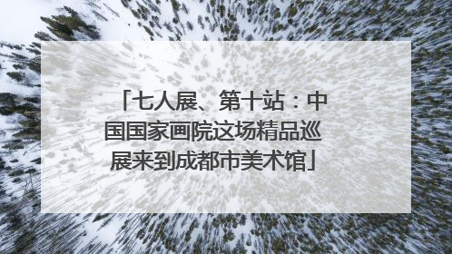 七人展、第十站：中国国家画院这场精品巡展来到成都市美术馆