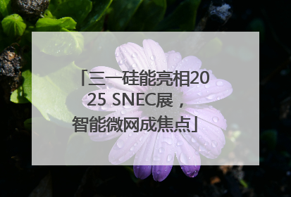 三一硅能亮相2025 SNEC展，智能微网成焦点
