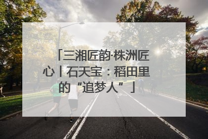 三湘匠韵·株洲匠心丨石天宝：稻田里的“追梦人”