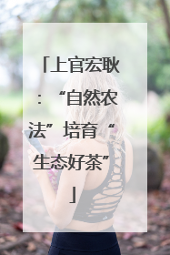 上官宏耿：“自然农法”培育“生态好茶”