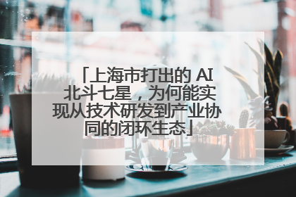 上海市打出的 AI 北斗七星，为何能实现从技术研发到产业协同的闭环生态