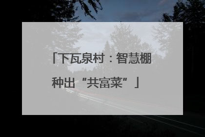 下瓦泉村：智慧棚种出“共富菜”