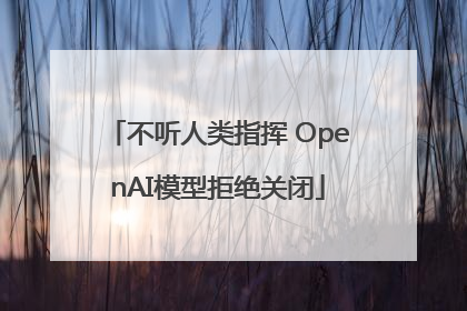 不听人类指挥 OpenAI模型拒绝关闭