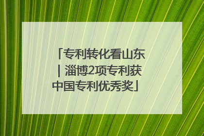 专利转化看山东｜淄博2项专利获中国专利优秀奖