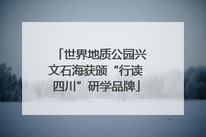 世界地质公园兴文石海获颁“行读四川”研学品牌