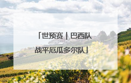 世预赛｜巴西队战平厄瓜多尔队