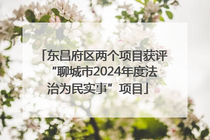 东昌府区两个项目获评“聊城市2024年度法治为民实事”项目