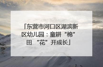 东营市河口区湖滨新区幼儿园：童耕“棉”田 “花”开成长