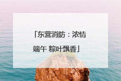 东营消防：浓情端午 粽叶飘香