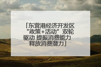 东营港经济开发区“政策+活动”双轮驱动 提振消费能力 释放消费潜力