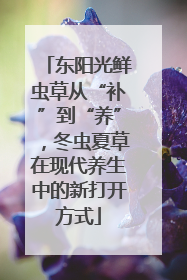 东阳光鲜虫草从“补”到“养”，冬虫夏草在现代养生中的新打开方式