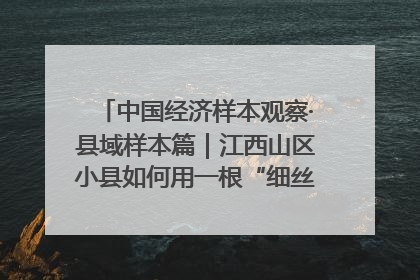 中国经济样本观察·县域样本篇｜江西山区小县如何用一根“细丝”拉出百亿级产业？