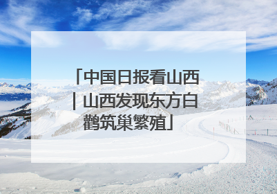 中国日报看山西｜山西发现东方白鹳筑巢繁殖