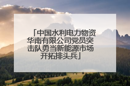 中国水利电力物资华南有限公司党员突击队勇当新能源市场开拓排头兵