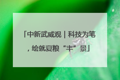 中新武威观｜科技为笔，绘就夏粮“丰”景